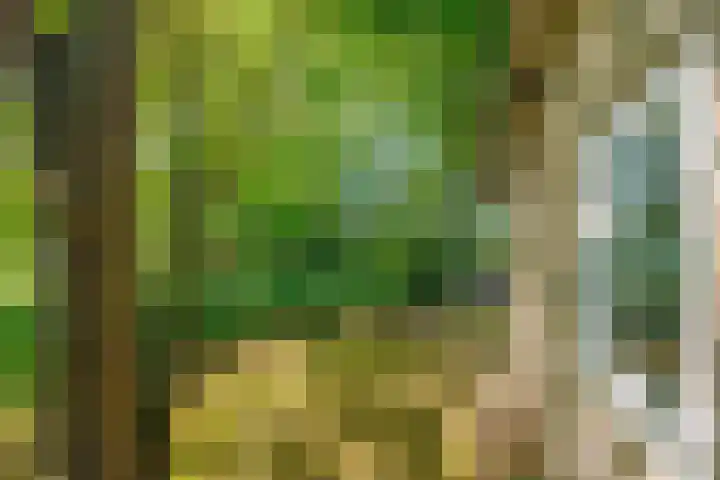 Bergeendsweg 114 Ballum thumbnail 33