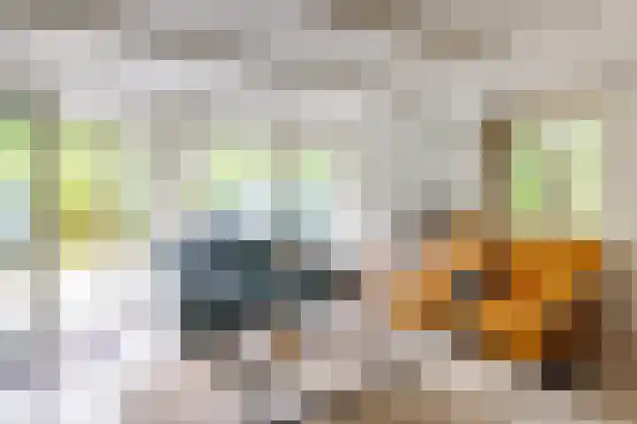 Bergeendsweg 114 Ballum thumbnail 4