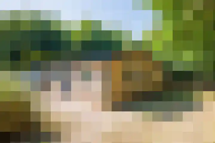Bergeendsweg 114 Ballum thumbnail 6