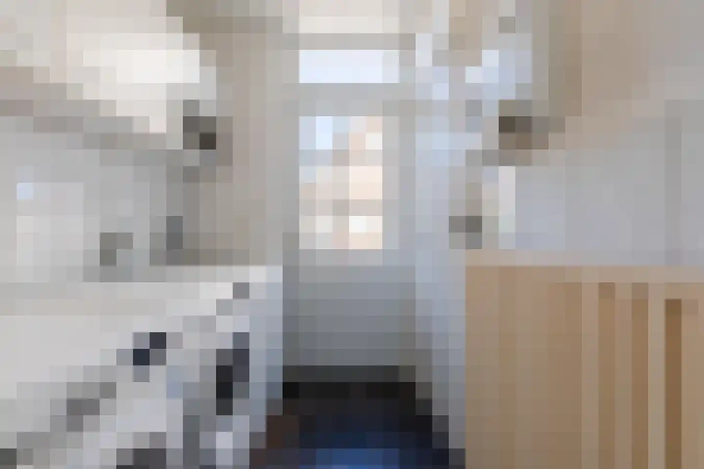 Bergeijksedijk 23 Eersel thumbnail 12