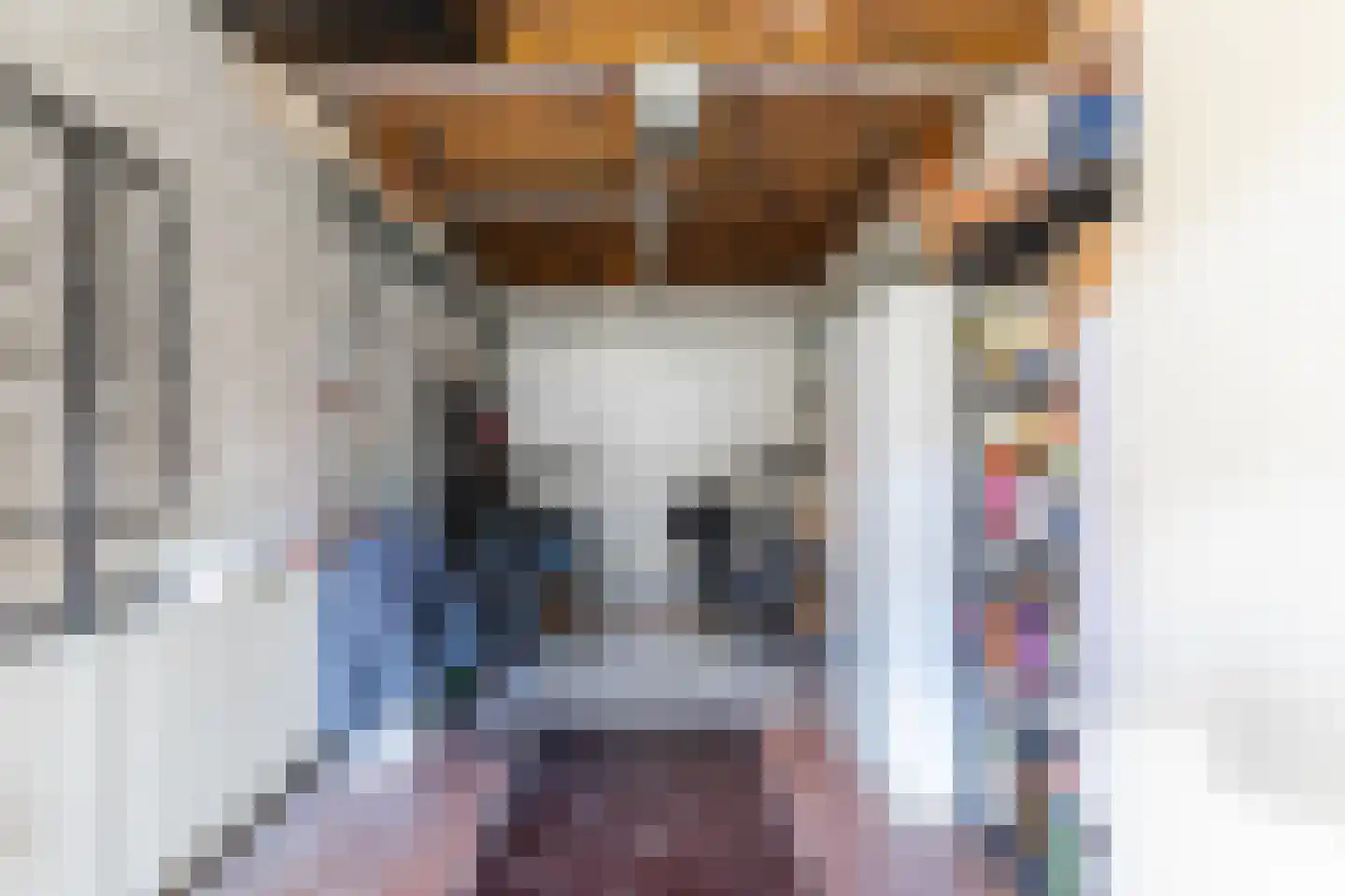 Bergeijksedijk 23 Eersel thumbnail 13