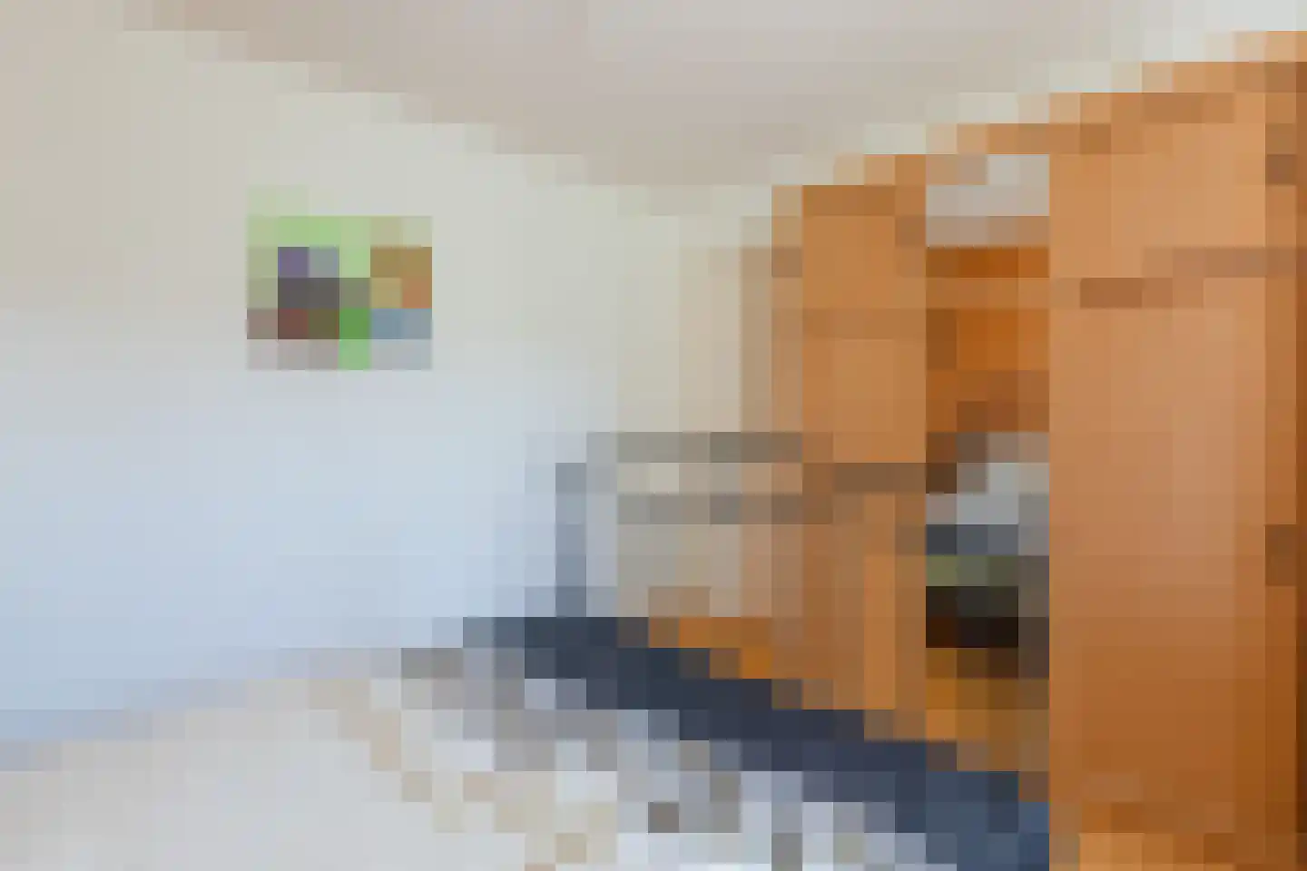 Bergeijksedijk 23 Eersel thumbnail 19