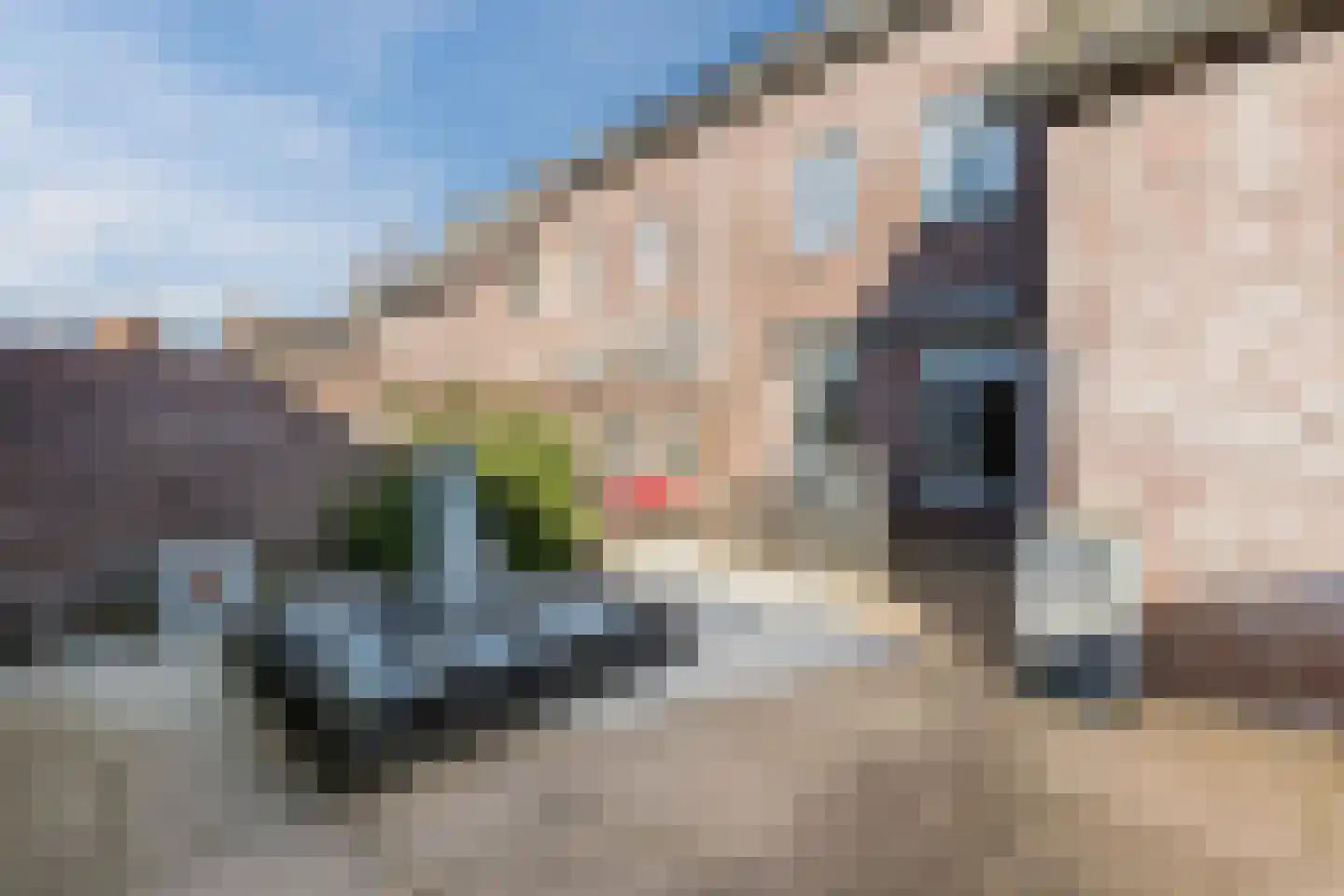 Bergeijksedijk 23 Eersel thumbnail 30