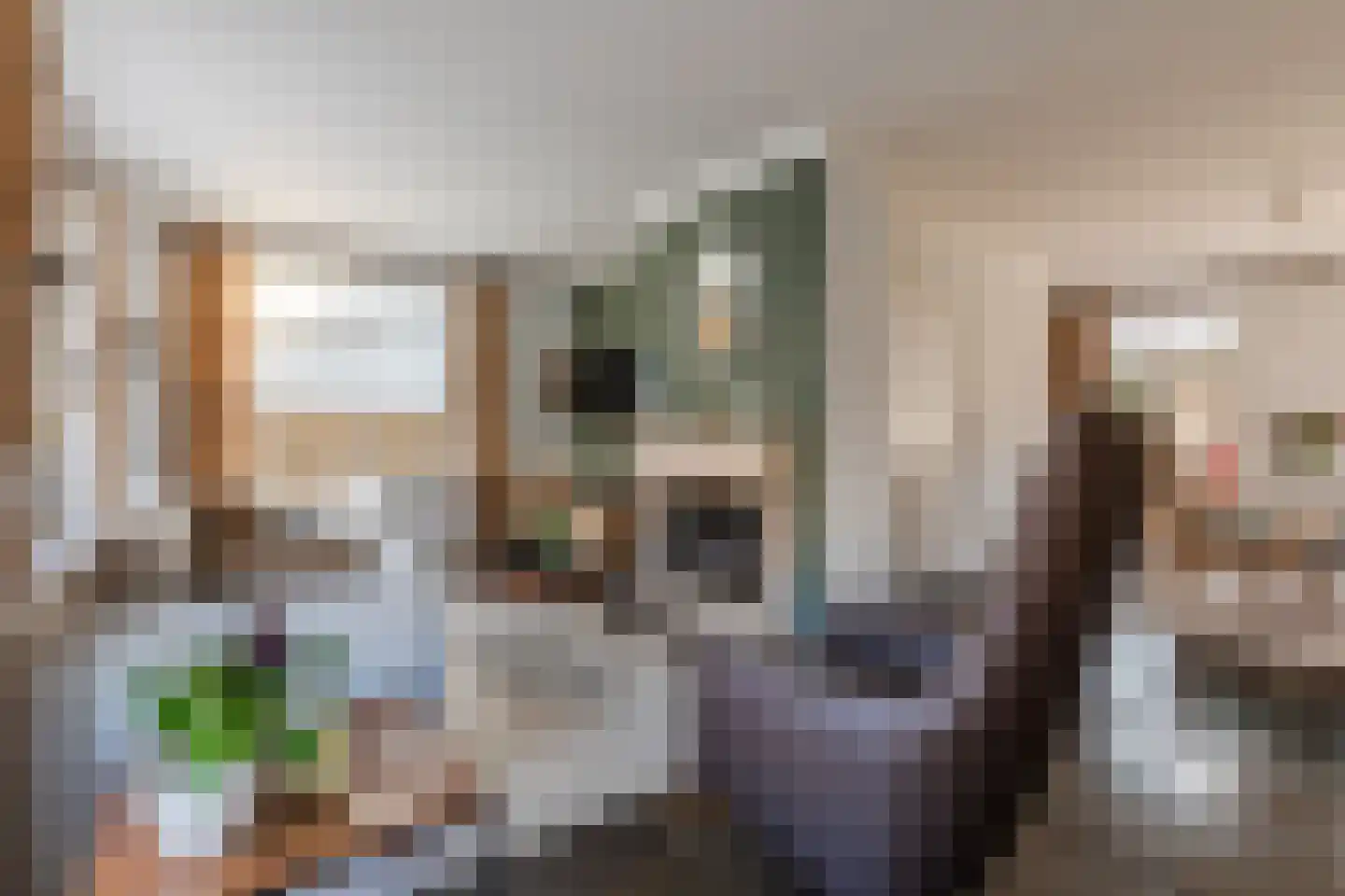 Bergeijksedijk 23 Eersel thumbnail 6