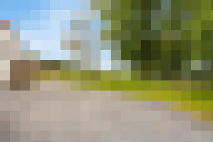 Bergeijksedijk 26 Valkenswaard thumbnail 42