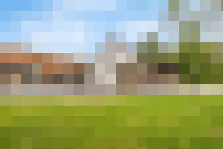 Bergeijksedijk 26 Valkenswaard thumbnail 43