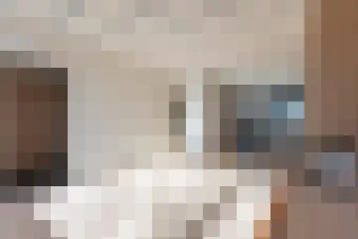 Bergeikstraat 37 Eygelshoven thumbnail 7