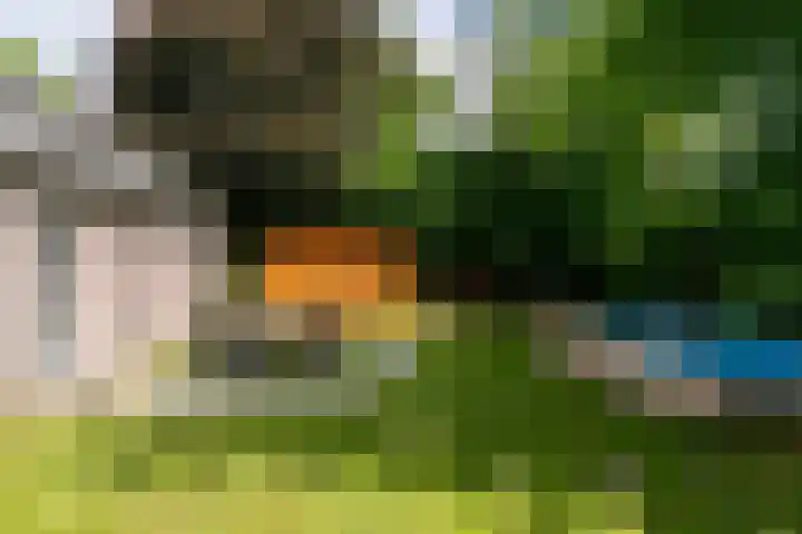 Bergelinkweg 14 Dieren thumbnail 24