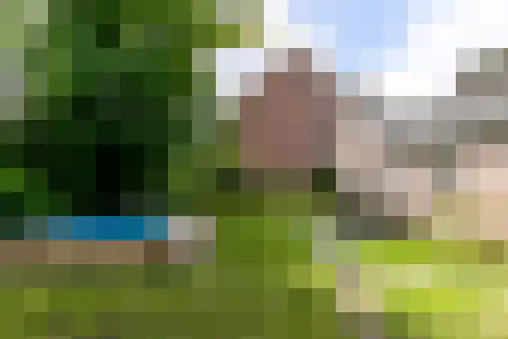 Bergelinkweg 14 Dieren thumbnail 26