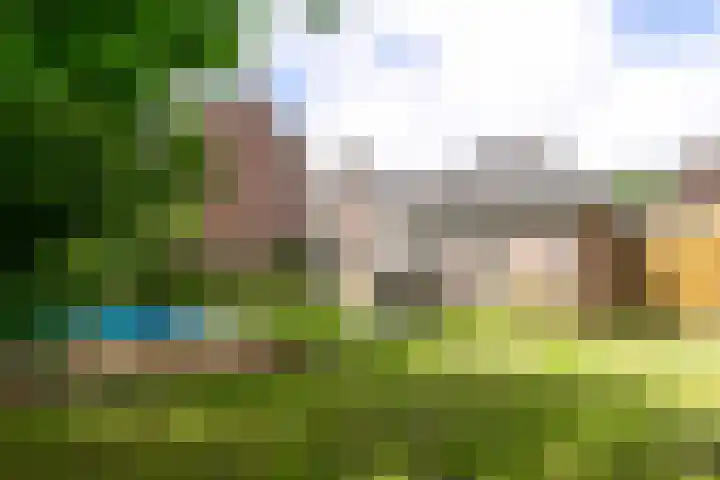 Bergelinkweg 14 Dieren thumbnail 27