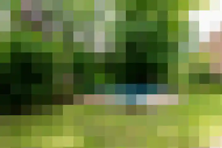 Bergelinkweg 14 Dieren thumbnail 28