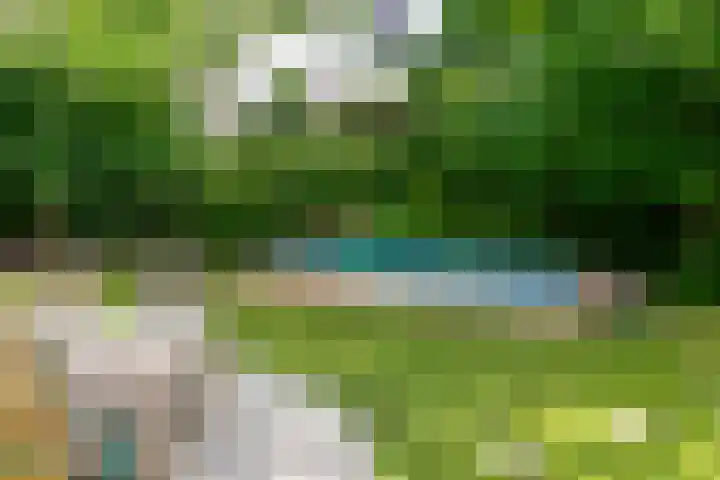 Bergelinkweg 14 Dieren thumbnail 29