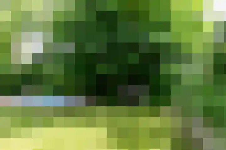 Bergelinkweg 14 Dieren thumbnail 30