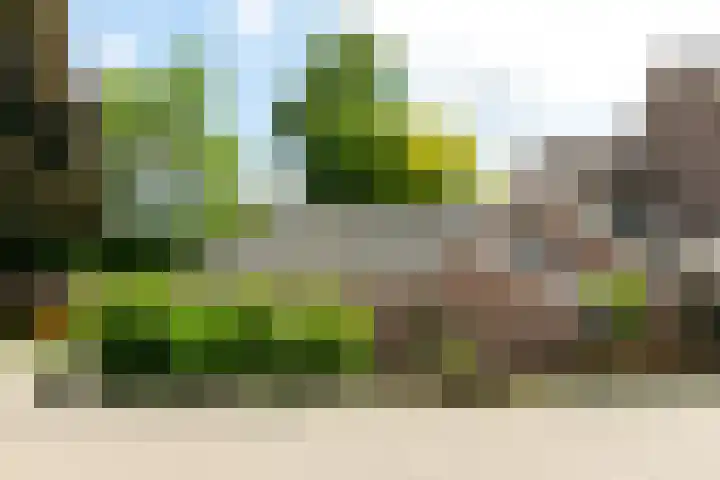 Bergelinkweg 14 Dieren thumbnail 31
