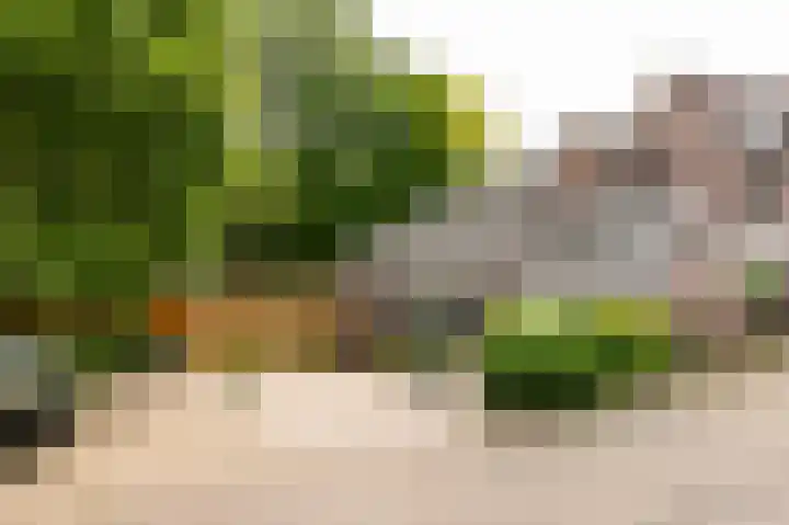 Bergelinkweg 14 Dieren thumbnail 34