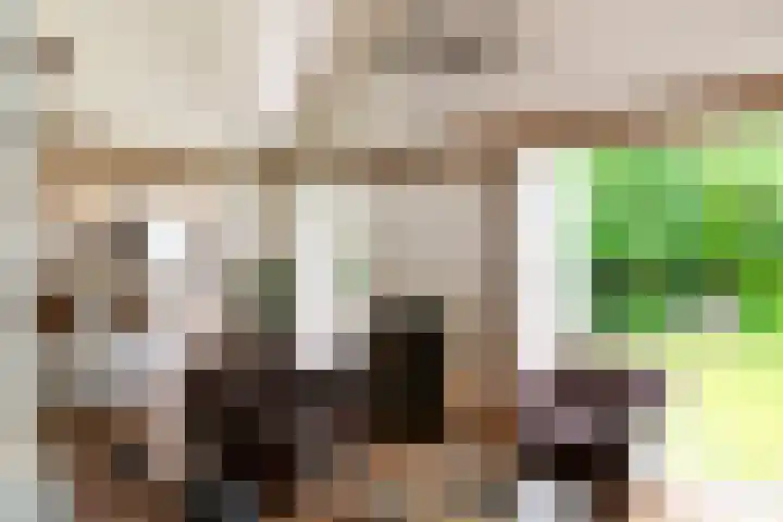 Bergelinkweg 14 Dieren thumbnail 9