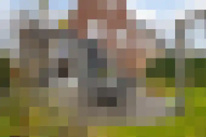 Bergen 29 Hattem thumbnail 30