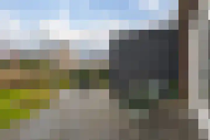 Bergen 29 Hattem thumbnail 32