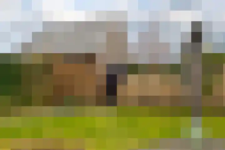 Bergen 29 Hattem thumbnail 36