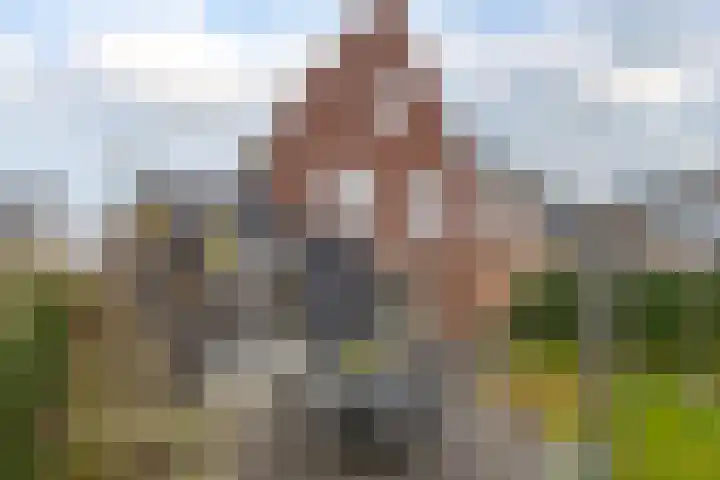 Bergen 29 Hattem thumbnail 5