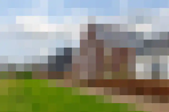 Bergen 29 Hattem thumbnail 6