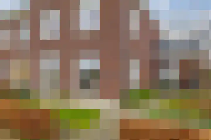 Bergen 29 Hattem thumbnail 7