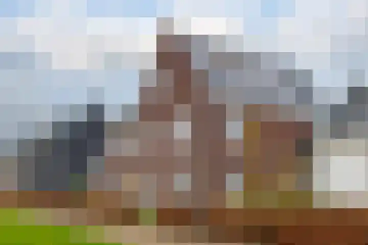 Bergen 29 Hattem thumbnail 70