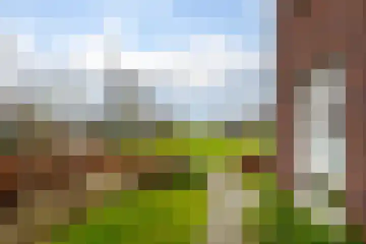 Bergen 29 Hattem thumbnail 8
