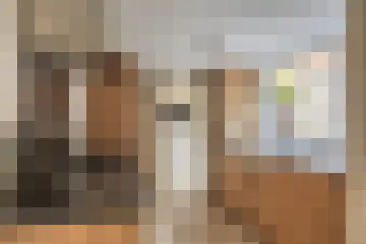 Bergen 3 Terheijden thumbnail 15