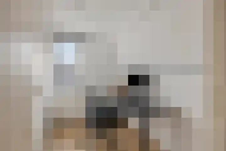 Bergen 3 Terheijden thumbnail 30