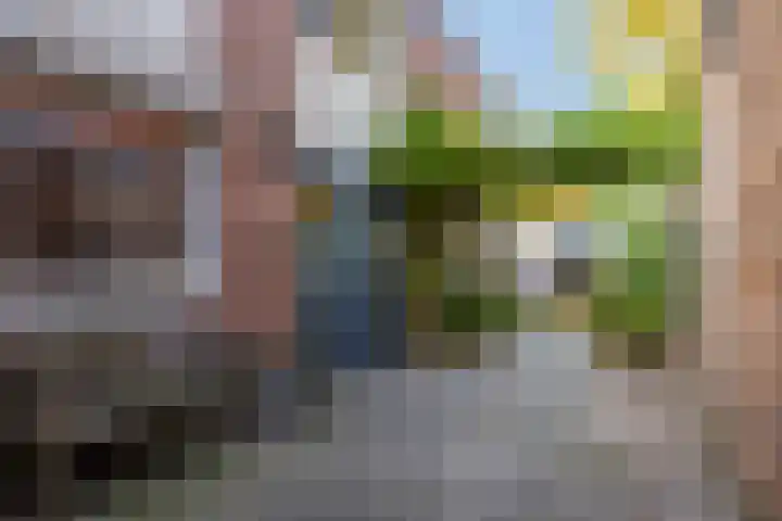 Bergen 3 Terheijden thumbnail 31