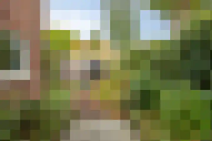 Bergen 3 Terheijden thumbnail 32