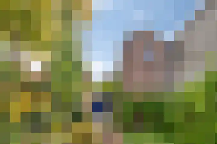Bergen 3 Terheijden thumbnail 39