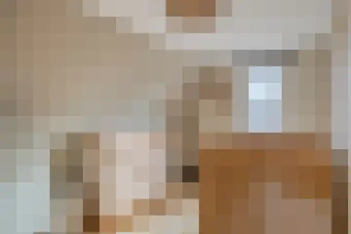 Bergen 3 Terheijden thumbnail 4