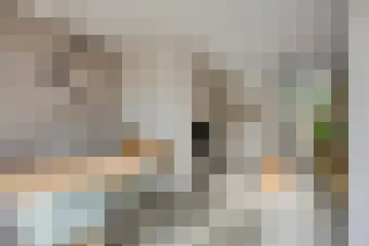 Bergen 3 Terheijden thumbnail 45