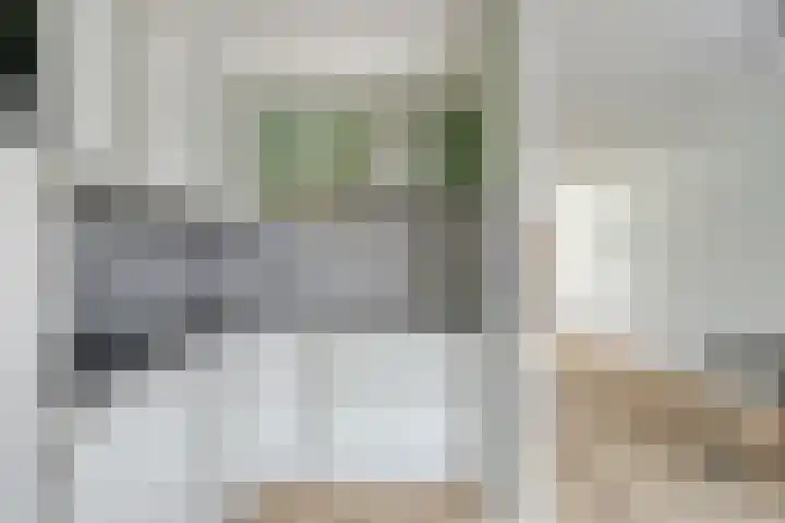 Bergen op Zoomstraat 110 Eindhoven thumbnail 14