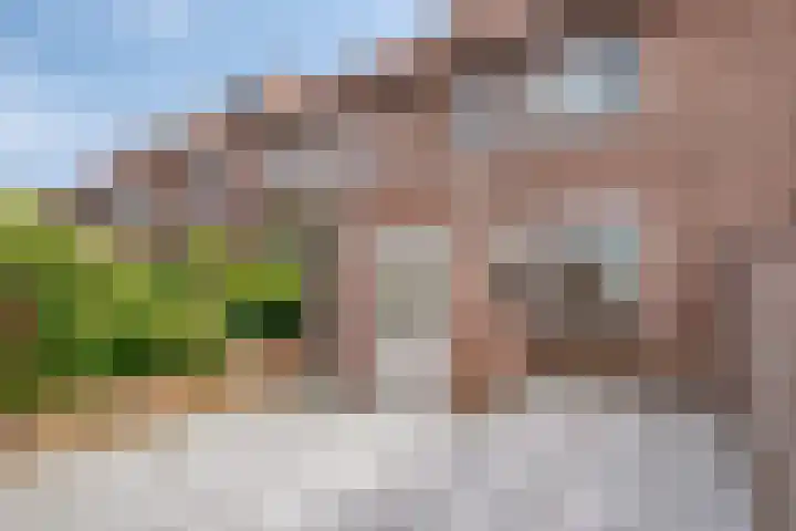 Bergen op Zoomstraat 110 Eindhoven thumbnail 27