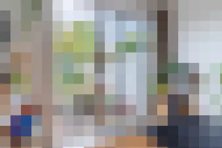Bergen op Zoomstraat 119 Eindhoven thumbnail 11