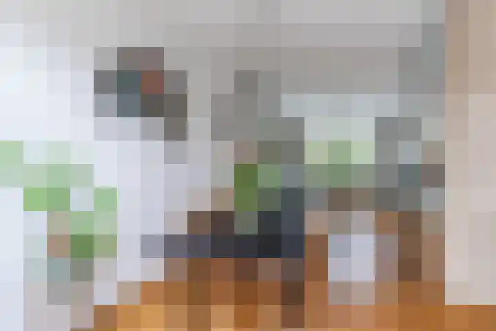 Bergen op Zoomstraat 119 Eindhoven thumbnail 13