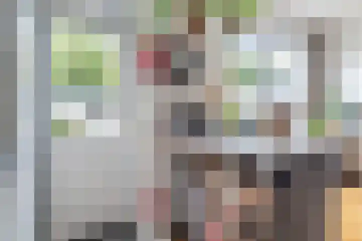 Bergen op Zoomstraat 119 Eindhoven thumbnail 16