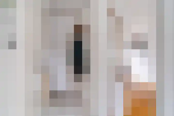 Bergen op Zoomstraat 119 Eindhoven thumbnail 21