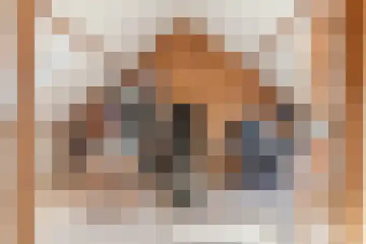 Bergen op Zoomstraat 119 Eindhoven thumbnail 35