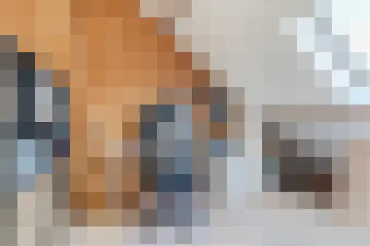 Bergen op Zoomstraat 119 Eindhoven thumbnail 36