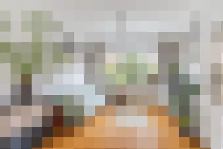 Bergen op Zoomstraat 119 Eindhoven thumbnail 4