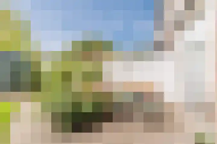 Bergen op Zoomstraat 119 Eindhoven thumbnail 43