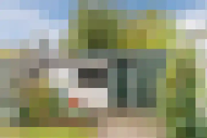 Bergen op Zoomstraat 119 Eindhoven thumbnail 45