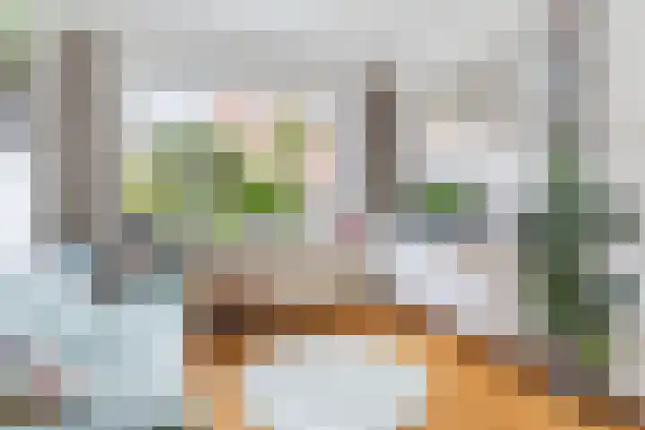 Bergen op Zoomstraat 119 Eindhoven thumbnail 5
