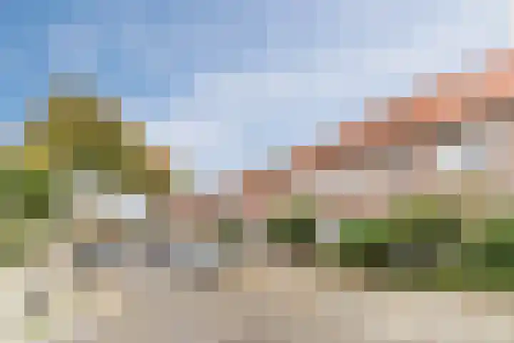Bergen op Zoomstraat 119 Eindhoven thumbnail 54