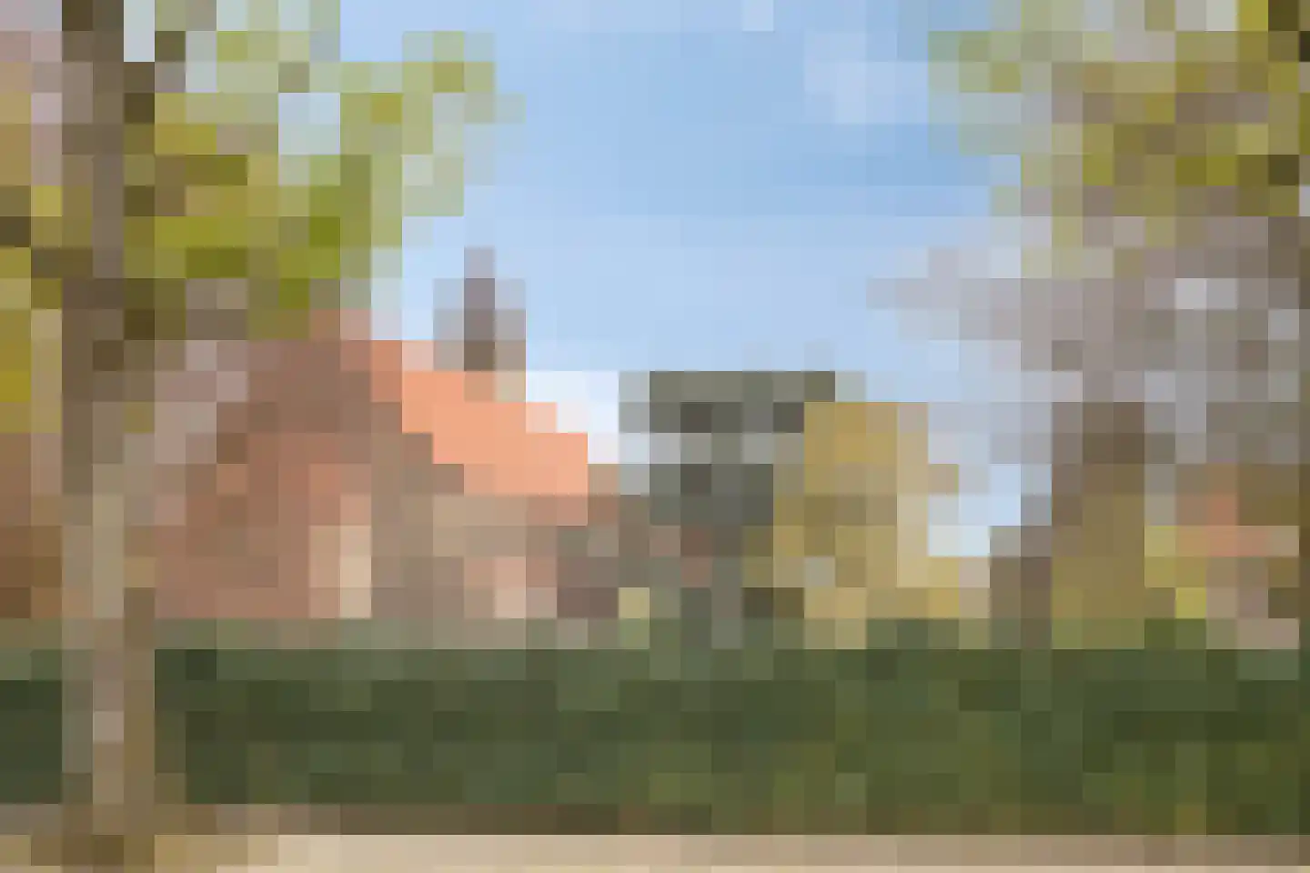 Bergen op Zoomstraat 127 Eindhoven thumbnail 33