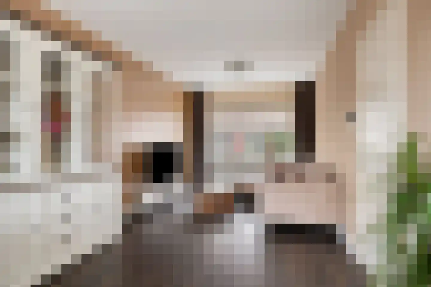 Bergen op Zoomstraat 127 Eindhoven thumbnail 7